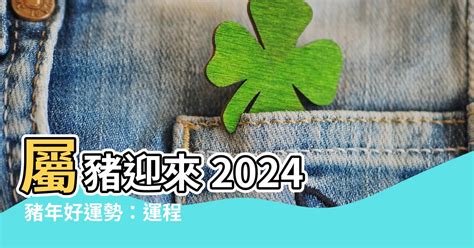 2024 豬年運程|2024 肖豬流年運程 